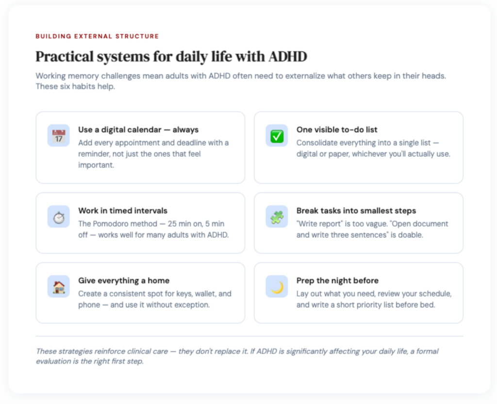 adhd-daily-structure-tips